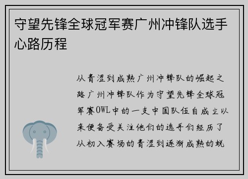 守望先锋全球冠军赛广州冲锋队选手心路历程