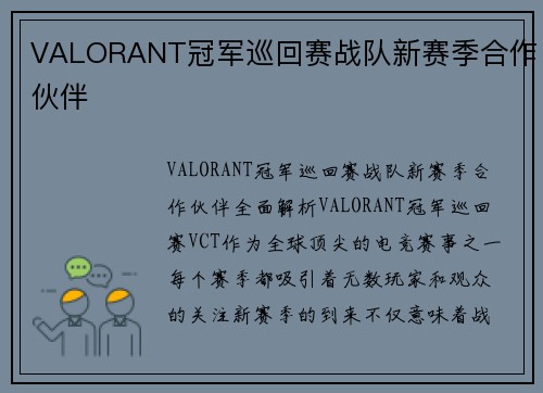VALORANT冠军巡回赛战队新赛季合作伙伴